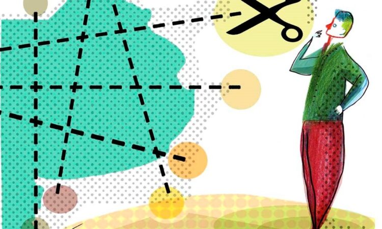 Vice-presidente do IF Brasil fala sobre autonomia municipal